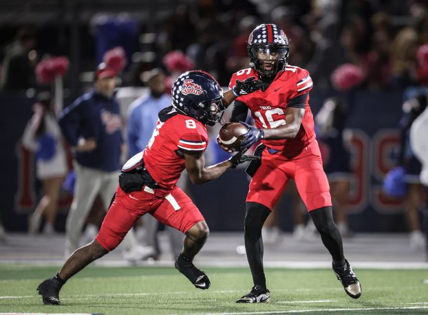 Tigers thrill fans with late win