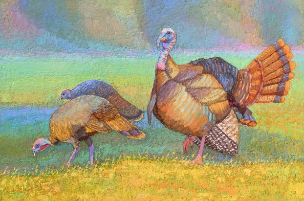 The Wildlife Art of Adam King